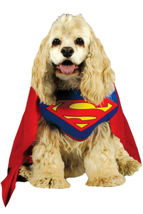 Костюм для собаки Супермен