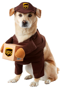 Карнавальный костюм для собаки UPS