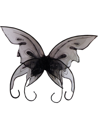 Крылья бабочки чёрные