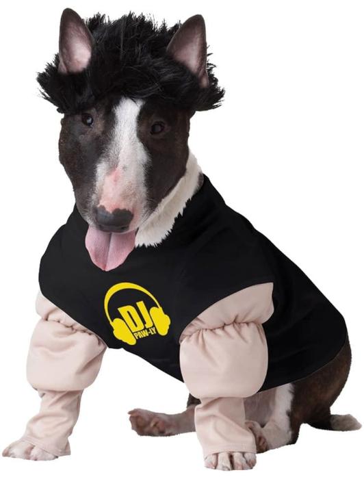 Карнавальный костюм для питомца DJ