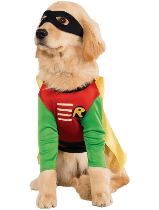Карнавальный костюм для питомца Робин