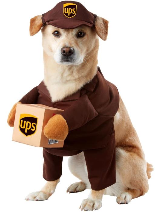 Карнавальный костюм для собаки UPS
