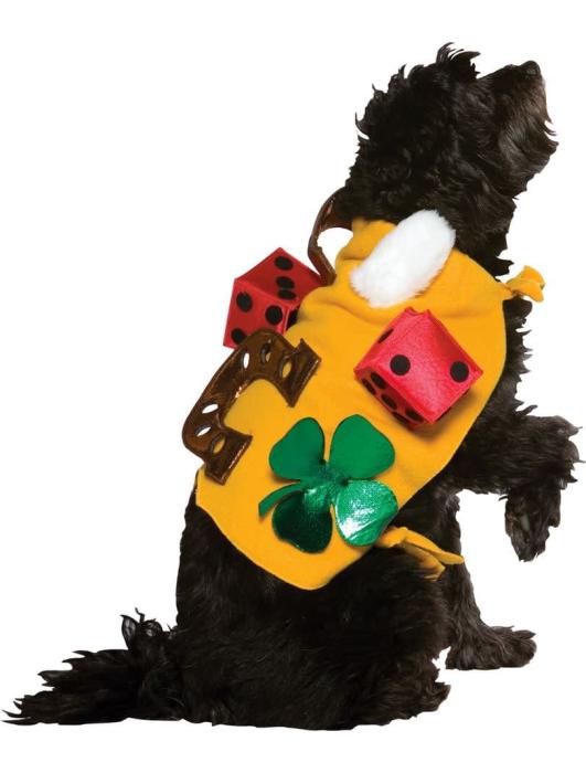 Карнавальный милый костюм для собаки