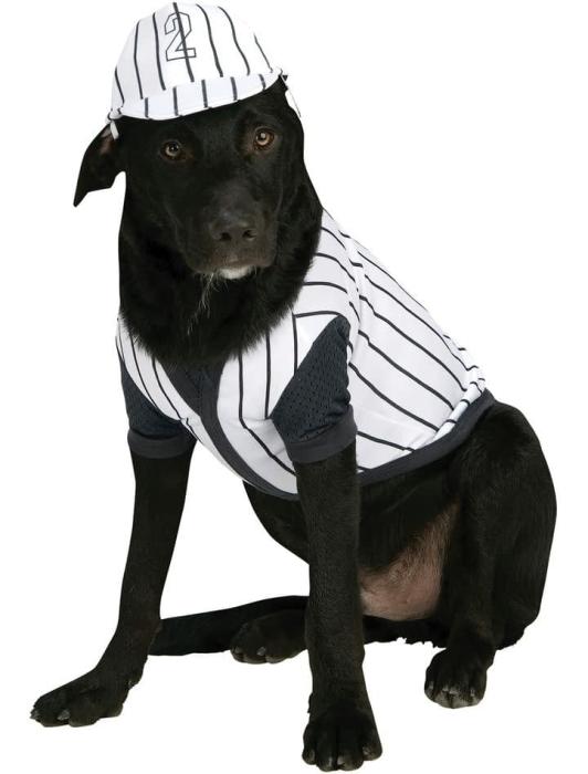 Карнавальный костюм для питомца Бейсбол