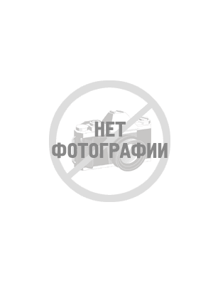 Карнавальный костюм для собаки Элвис