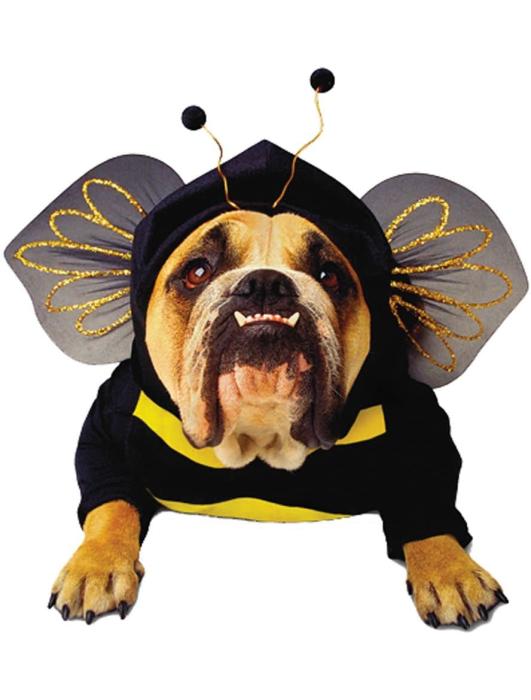Карнавальный костюм для собаки - пчелка