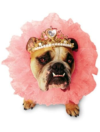 Карнавальный костюм для собаки королевы