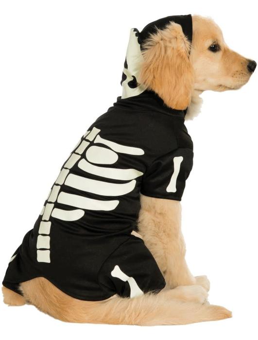 Карнавальный костюм дли питомца Скелет