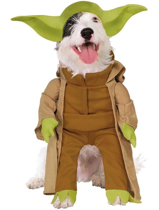 Костюм для собаки Йода