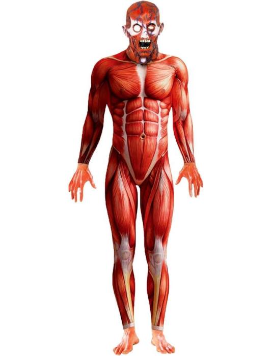 Карнавальный Анатомический костюм мужчины