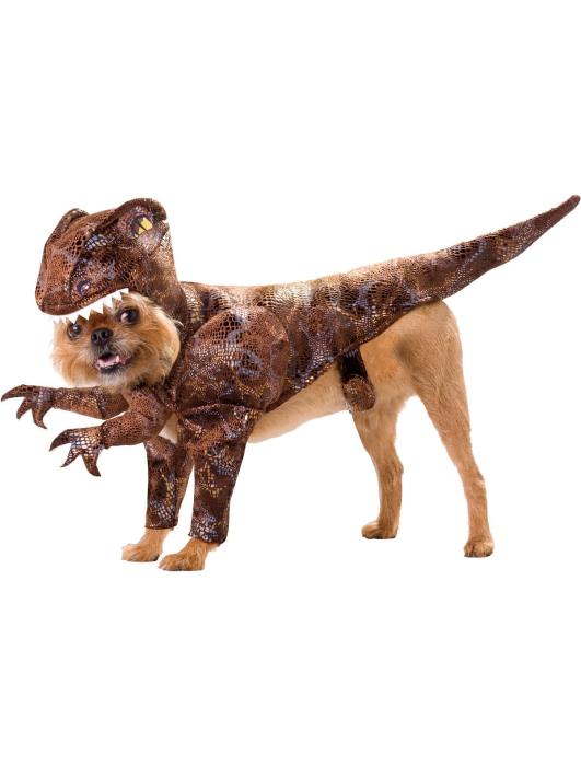 Костюм Раптора для животного