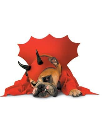 Карнавальный костюм для собаки красный