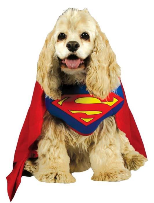 Костюм для собаки Супермен