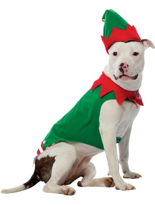 Костюм для животного Эльф