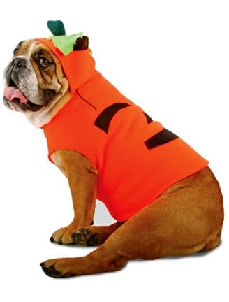 Карнавальный костюм для собаки - тыква