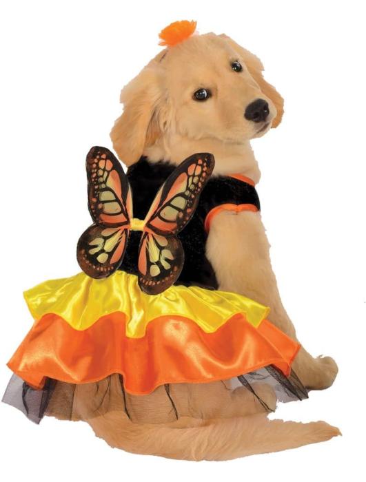 Карнавальный костюм для собаки Бабочка