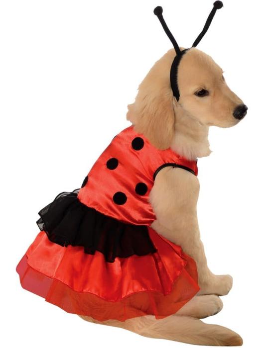 Карнавальный костюм для собаки Божья коровка