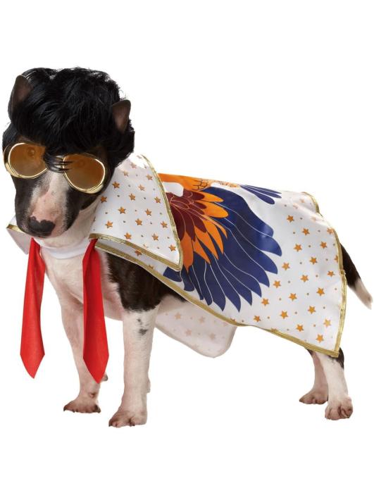 Карнавальный костюм для собаки Рок -н рол