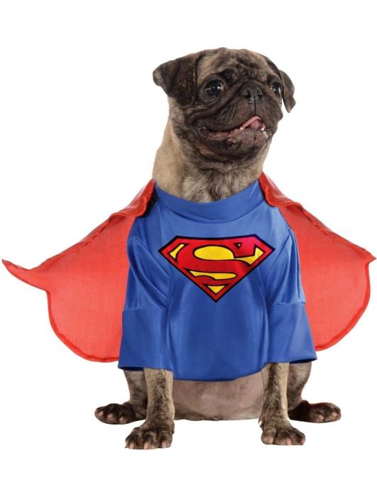 Костюм для животного Супермен
