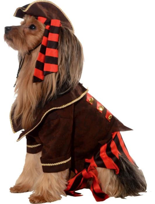 Карнавальный костюм пирата для собаки