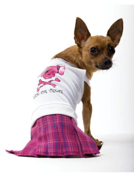 Карнавальный костюм для собаки "Плохая девочка"