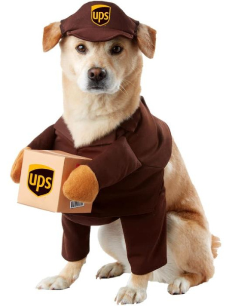 Карнавальный костюм для собаки UPS
