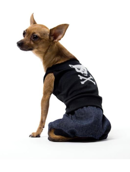 Карнавальный костюм для собаки _Плохой парень