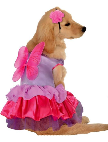 Карнавальный костюм для собаки Фея