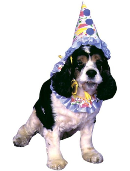 Карнавальный костюм для собаки - клоун