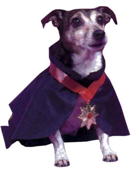 Костюм для собаки Дракула