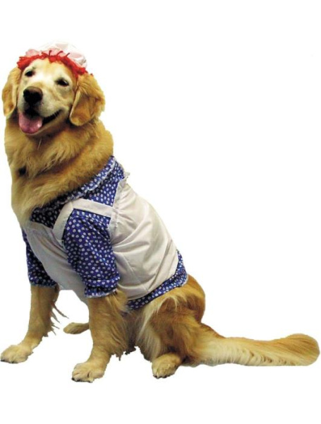 Костюм для собаки Тряпичная Энди
