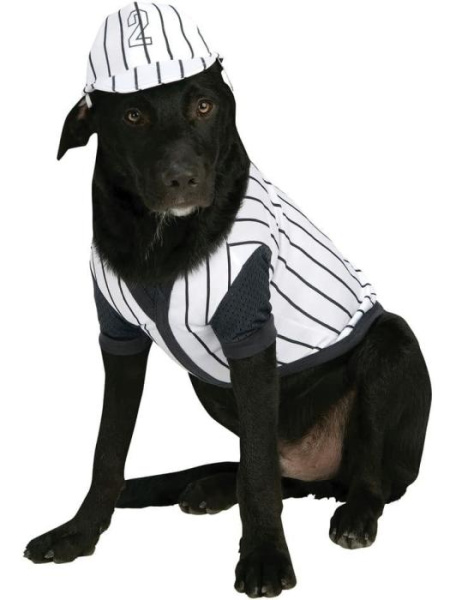 Карнавальный костюм для питомца Бейсбол