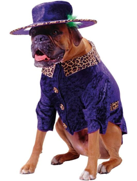 Карнавальный костюм для собаки "Большой папа"