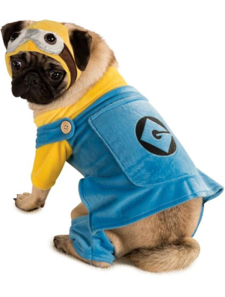 Карнавальный костюм Миньона для собаки