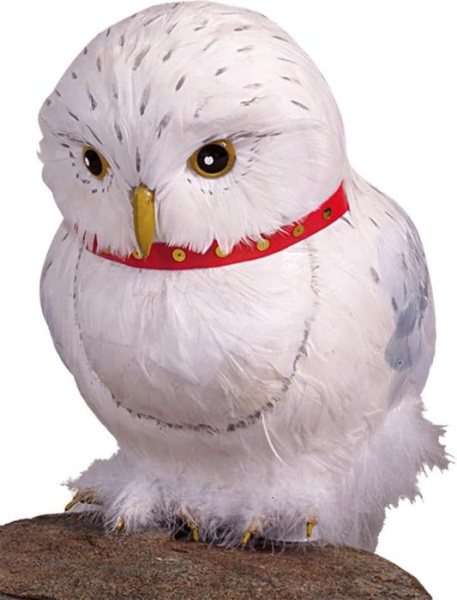 Сова Гарри Поттера Букля