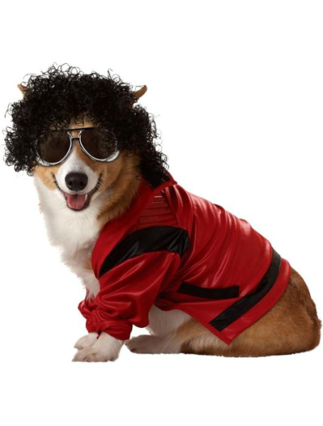 Карнавальный костюм для питомца Поп король