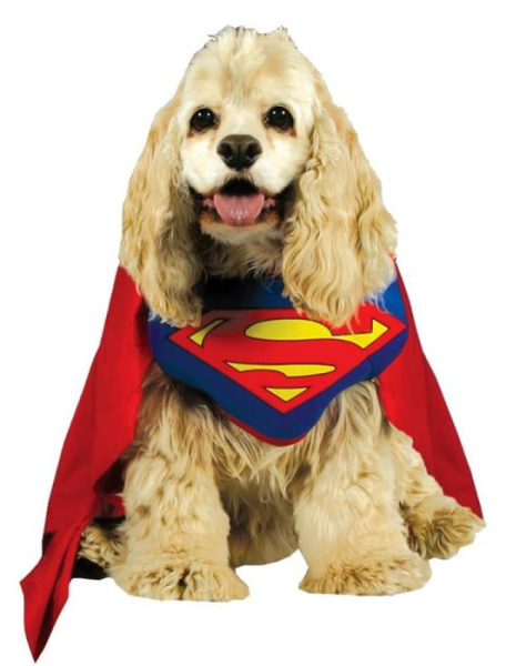 Костюм для собаки Супермен