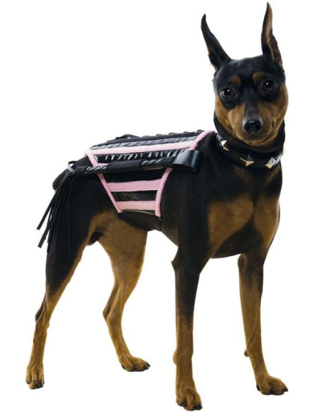 Карнавальный костюм для собаки - "Госпожи"