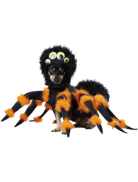 Карнавальный костюм для собаки Паук