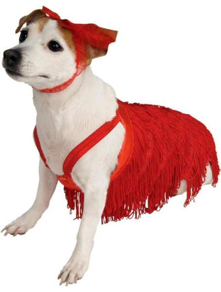 Карнавальный костюм для питомца хлопушка