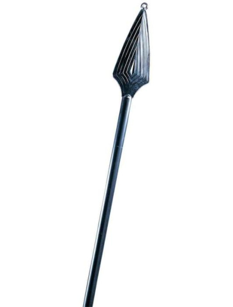 Копье Спартанца