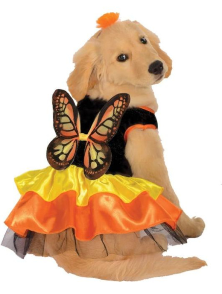 Карнавальный костюм для собаки Бабочка
