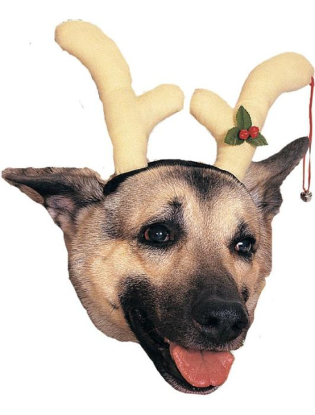 Рога оленя для собаки.