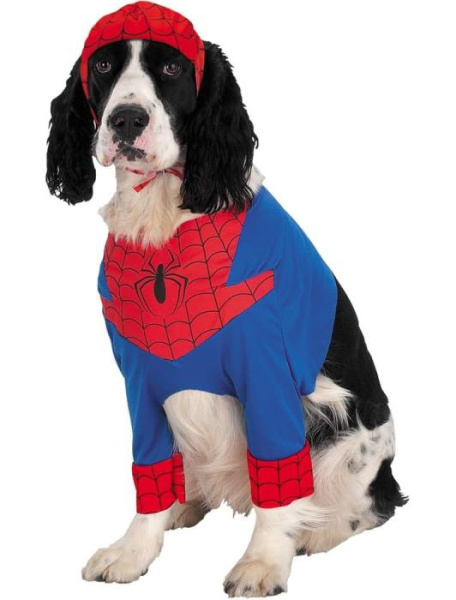 Костюм Человек-паук для питомца